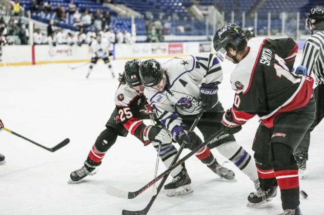 Odessa Jackalopes battle the Lone Star Brahmas for the puck