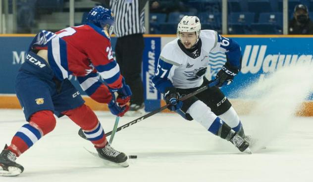 Saint John Sea Dogs right wing Zachary Alchorn (right) vs. the Moncton Wildcats