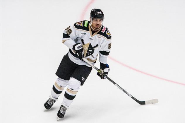 Forward Michael Joly with the Wheeling Nailers