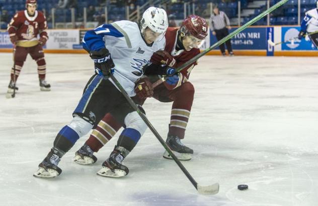 Saint John Sea Dogs battle the Acadie-Bathurst Titan
