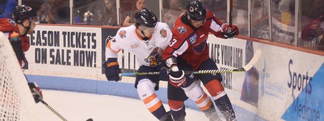 South Carolina Stingrays vs. the Greenville Swamp Rabbits