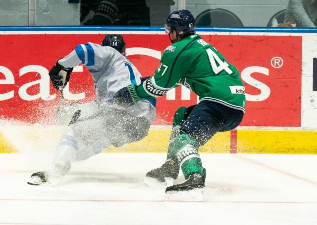 Jacksonville Icemen battle the Florida Everblades
