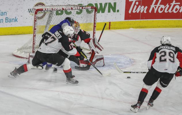 Prince George Cougars goaltender Tayler Gauthier is tested by the Victoria Royals
