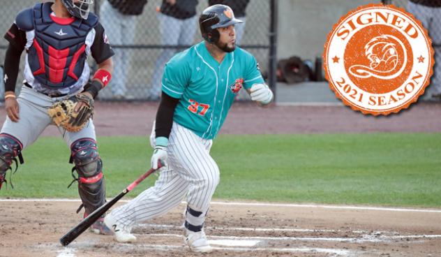 Long Island Ducks catcher Hector Sanchez