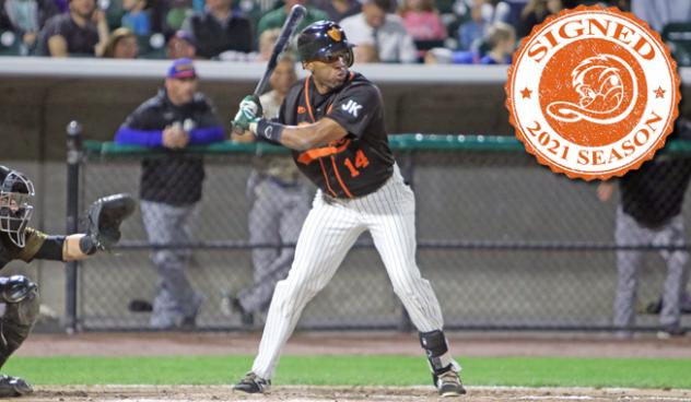 Long Island Ducks outfielder D'Arby Myers