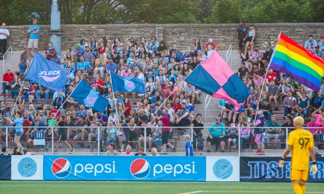 The crowd at a Forward Madison FC match