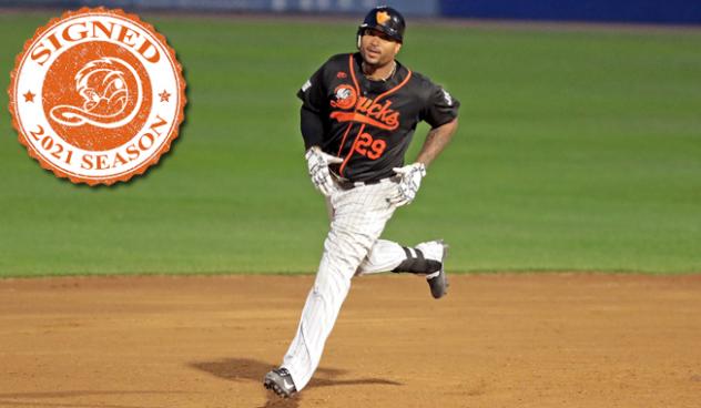 Long Island Ducks outfielder Daniel Fields