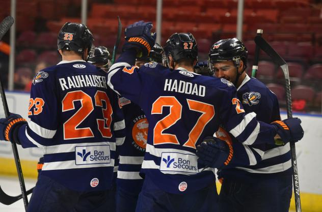 Greenville Swamp Rabbits celebrate a goal