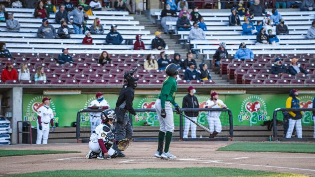 Beloit Snappers at the plate against the Wisconsin Timber Rattlers