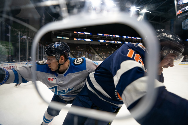 Jacksonville Icemen vs. the Greenville Swamp Rabbits