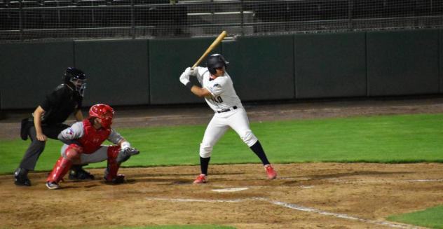 Tri-City Dust Devils catcher Franklin Torres at the plate