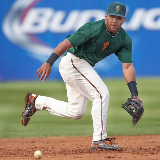 Justin Twine with the Greensboro Grasshoppers