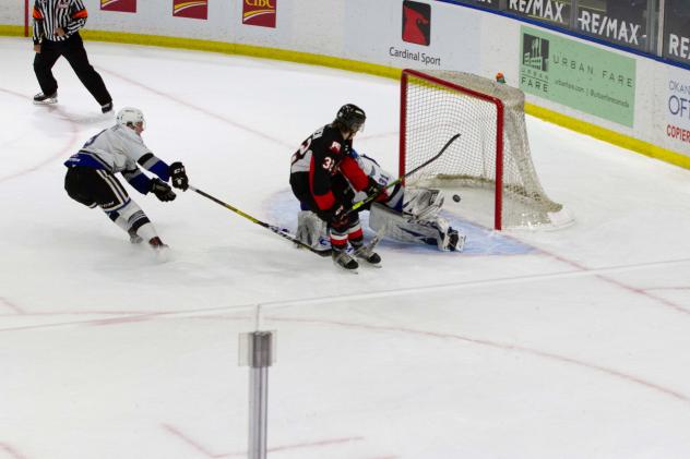 Prince George Cougars left wing Fischer O'Brien vs. the Victoria Royals
