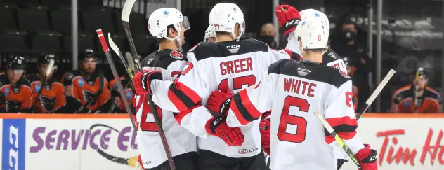 Binghamton Devils celebrate after a goal against the Lehigh Valley Phantoms