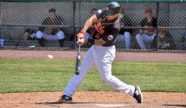 Steve Lombardozzi connects for the Long Island Ducks