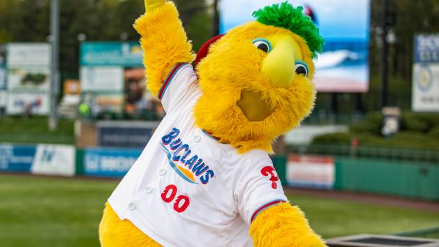 Jersey Shore BlueClaws mascot Buster