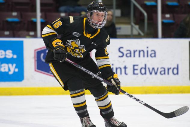 Sarnia Sting forward Nolan Dann