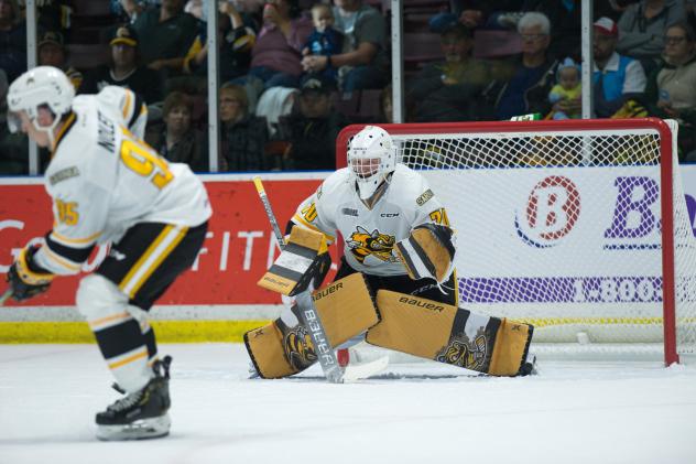 Sarnia Sting goaltender Benjamin Gaudreau