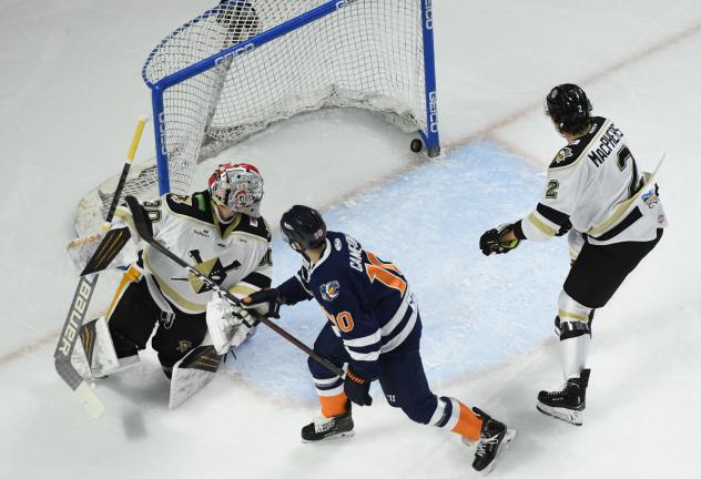 Shawn Cameron of the Greenville Swamp Rabbits scores against the Wheeling Nailers
