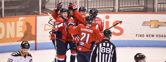 South Carolina Stingrays celebrate a goal