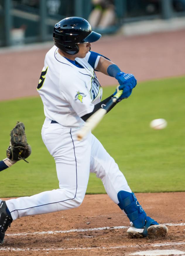 Omar Hernandez of the Columbia Fireflies