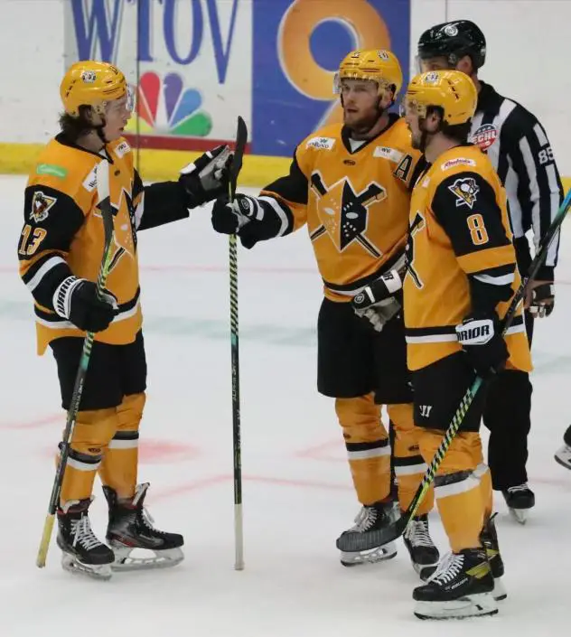 Wheeling Nailers gather after a goal