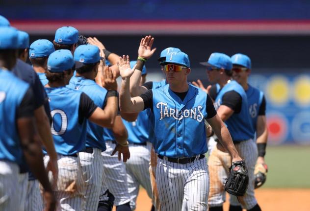 Tampa Tarpons exchange high fives after a win