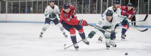 South Carolina Stingrays forward Max Novak vs. the Florida Everblades