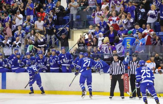 The Wichita Thunder crowd cheers on the team after a goal