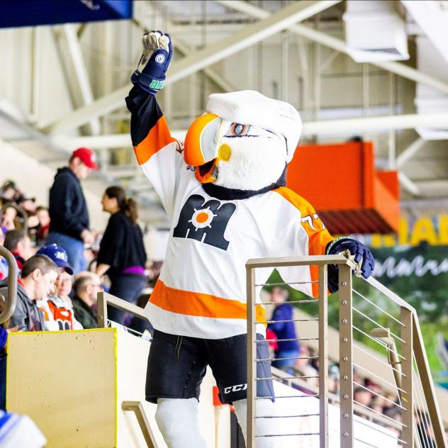 Maine Mariners mascot Beacon the Puffin