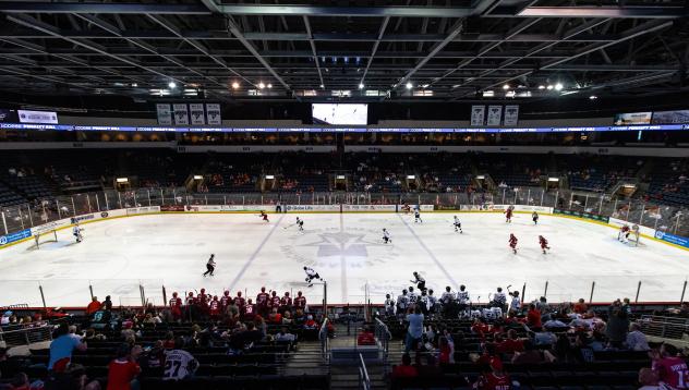 Allen Americans gameday