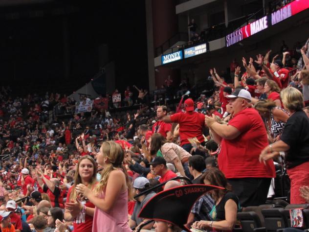 The crowd at a Jacksonville Sharks game