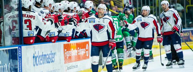 South Carolina Stingrays celebrate a goal along the bench