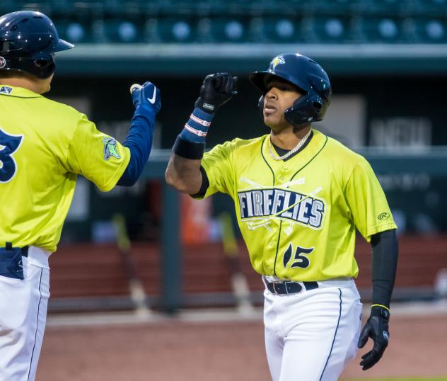 Juan Carlos Negret of the Columbia Fireflies comes in to score after his home run