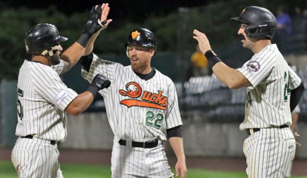 Long Island Ducks celebrate Rey Fuentes' homer