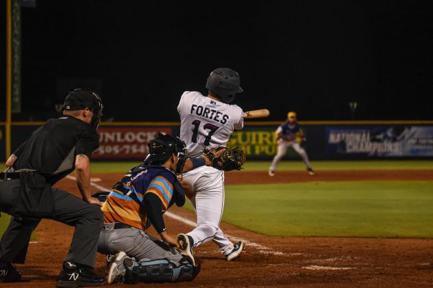 Pensacola Blue Wahoos catcher Nick Fortes at bat