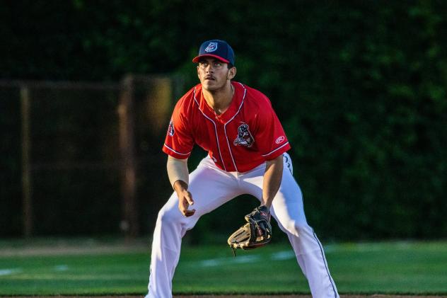 St. Cloud Rox ready in the field