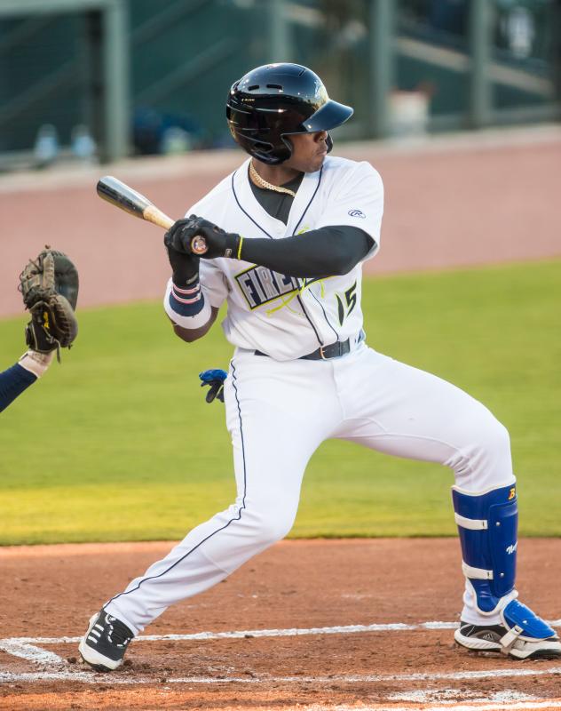 Juan Carlos Negret of the Columbia Fireflies at bat