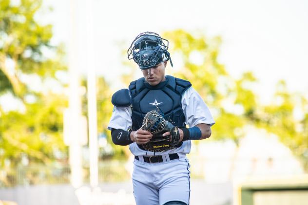 Columbia Fireflies catcher Omar Hernandez