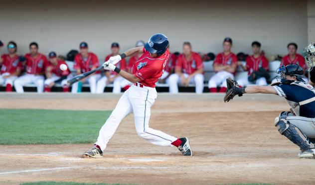 Cody Kelly of the St. Cloud Rox makes contact