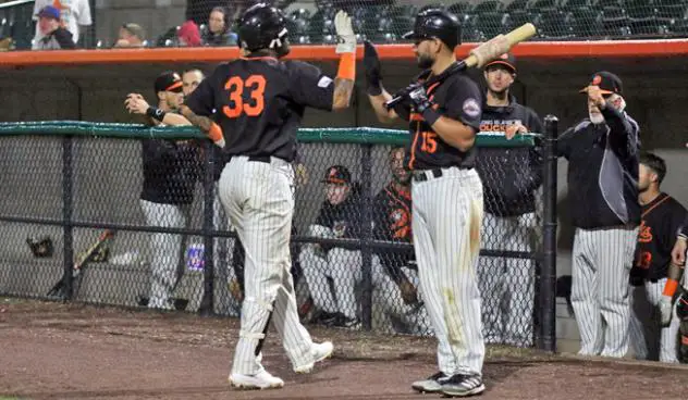 Long Island Ducks congratulate Hector Sanchez on his home run