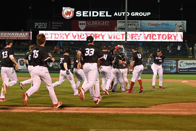 Reading Fightin Phils race on to the field after a walk-off win