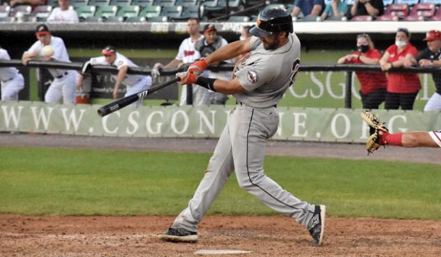 Steve Lombardozzi of the Long Island Ducks