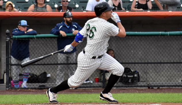 Danny Valencia of the Long Island Ducks
