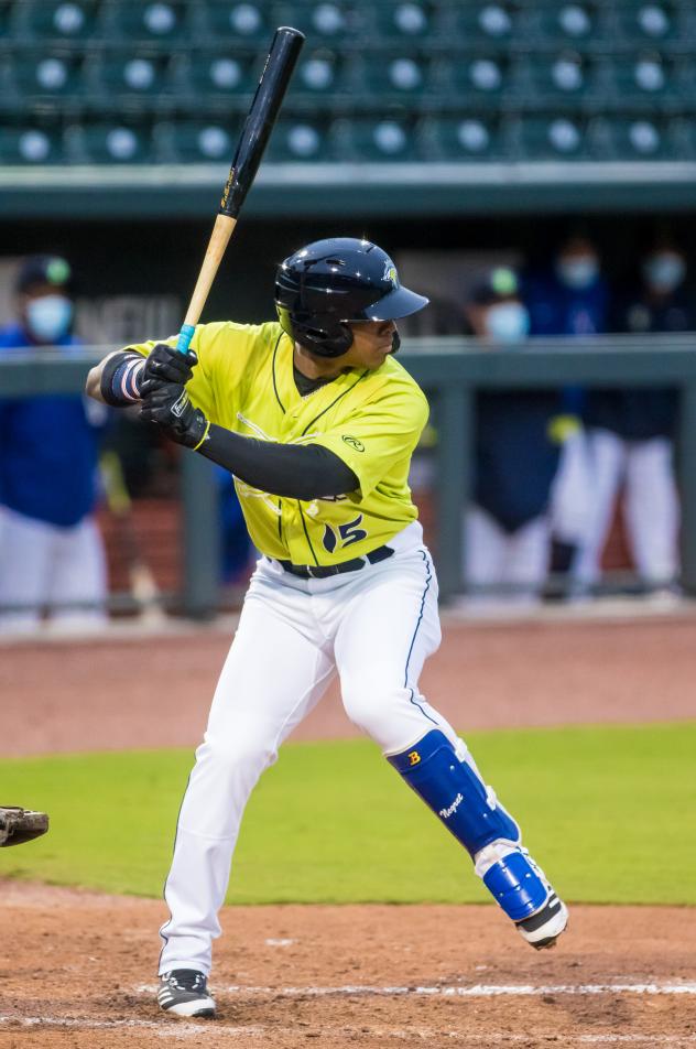 Juan Carlos Negret at bat for the Columbia Fireflies