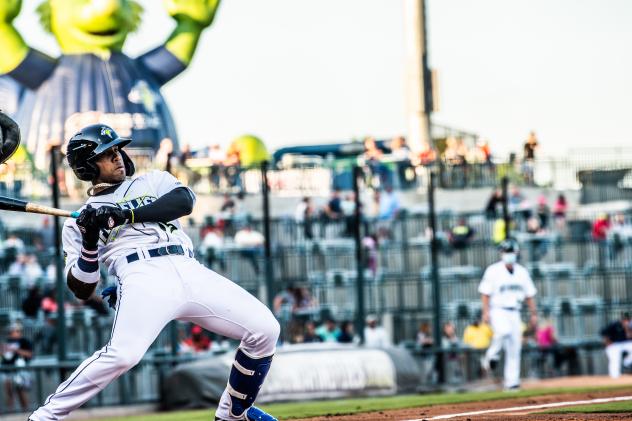 Juan Carlos Negret of the Columbia Fireflies