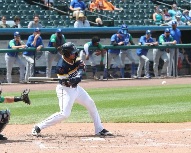 York Revolution catcher Carlos Castro