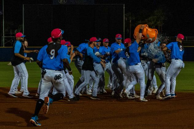 Pensacola Blue Wahoos celebrate a walk-off win