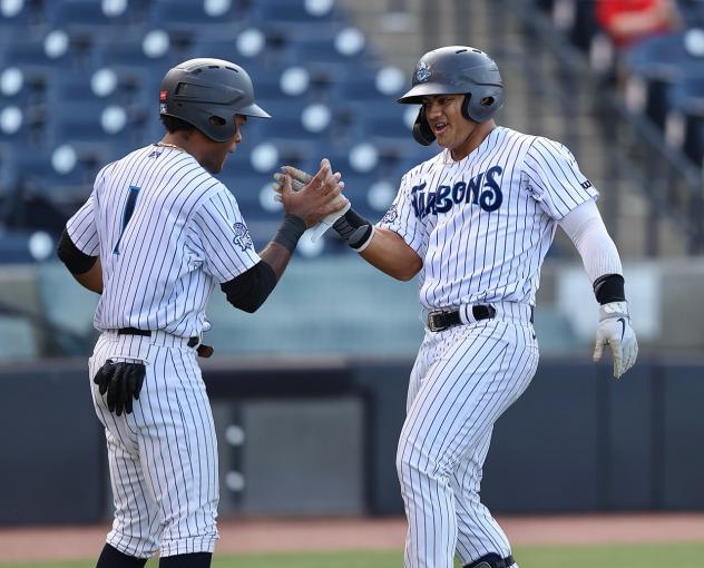 Jason Dominguez of the Tampa Tarpons gets a high five