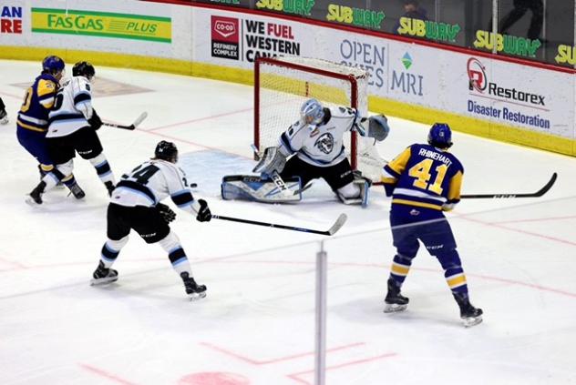 Winnipeg ICE goaltender Gage Alexander